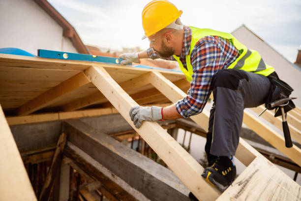 Roof Gutter Cleaning in Pegram, TN