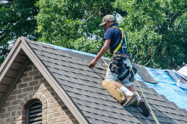 Gutter Installation and Roofing in Pegram, TN